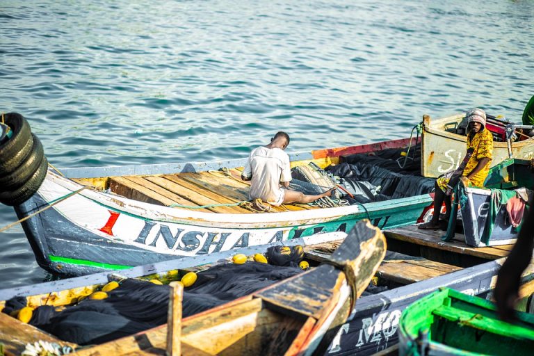 O Que É Pesca Sustentável Importância e Práticas Gama Fishing