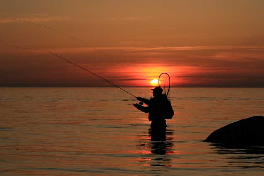 Como Escolher A Melhor Vara De Pesca Gama Fishing