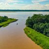 Aventura no Rio Amazonas Relato de um Pescador de Tambaqui - Gama Fishing