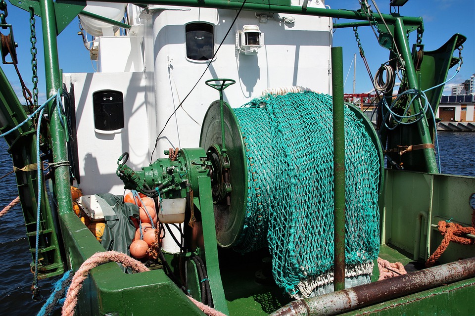 Como Escolher a Linha de Pesca Adequada para Diferentes Condições