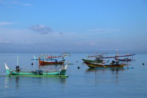 Destinos de Pesca de Luxo na Amazônia