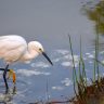 Dicas de Pesca Sustentável: Como Preservar o Meio Ambiente