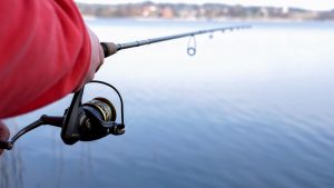 Dicas para Pesca com Isca Viva