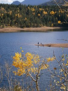 Dicas para Pesca em Rios de Correnteza Forte