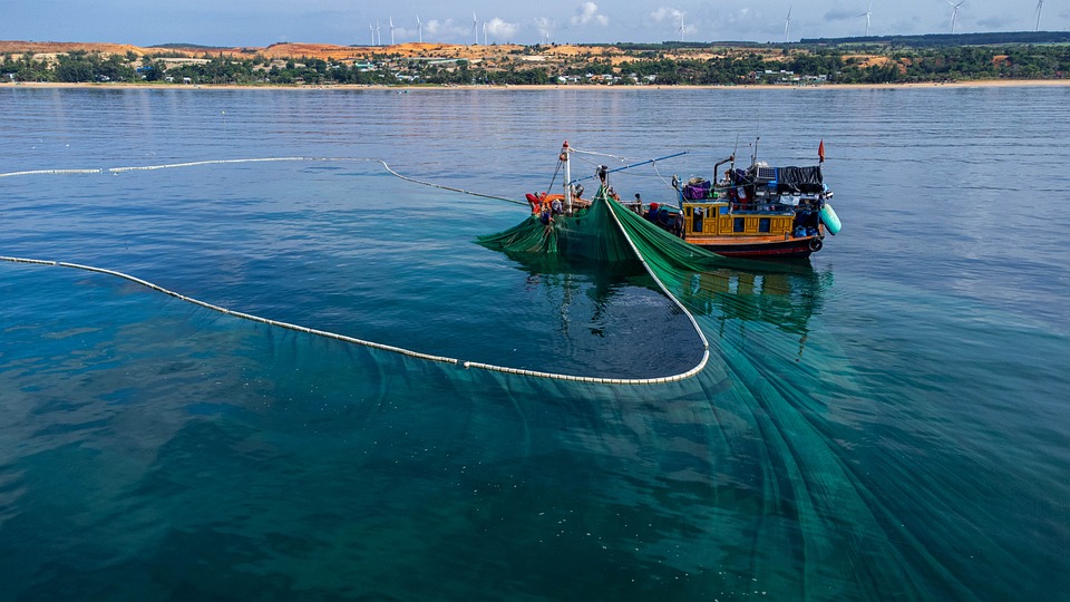 Entenda o Que É Pesca Predatória