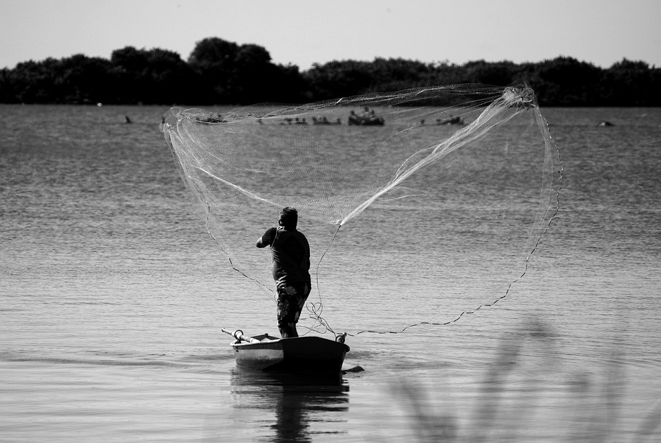 Estratégias para Pescar na Prova - Gama Fishing