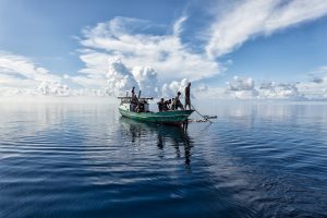 Guia Completo para Pesca em Alto Mar