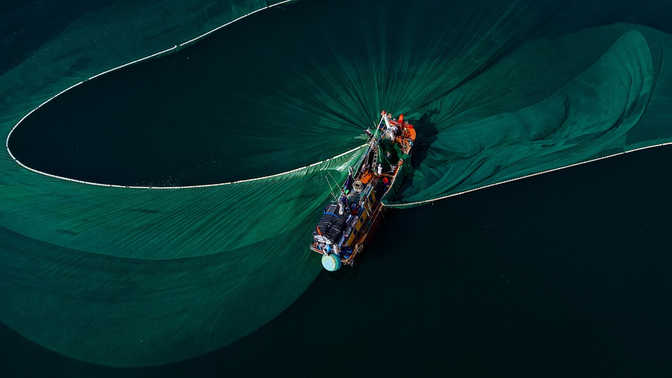 História de um Pescador Solitário: Enfrentando os Desafios da Natureza