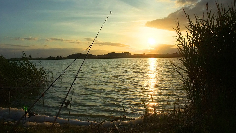 Histórias de Pescadores: Desafios e Triunfos em Águas Selvagens