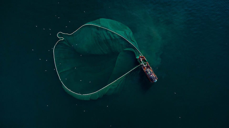 Histórias de Pescadores: Momentos de Superação e Coragem