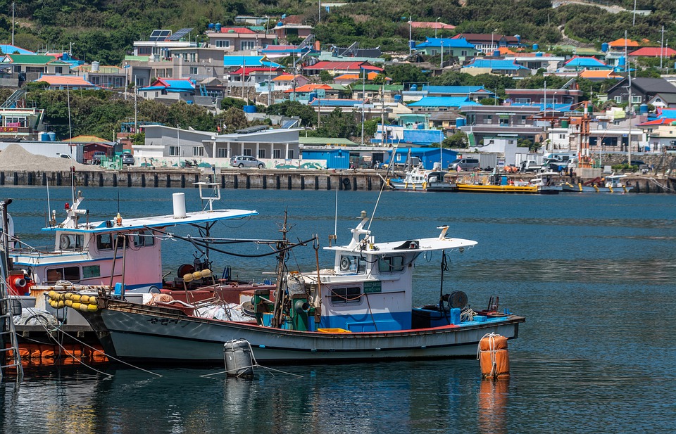 Memórias de um Pescador: As Melhores Pescarias da Minha Vida