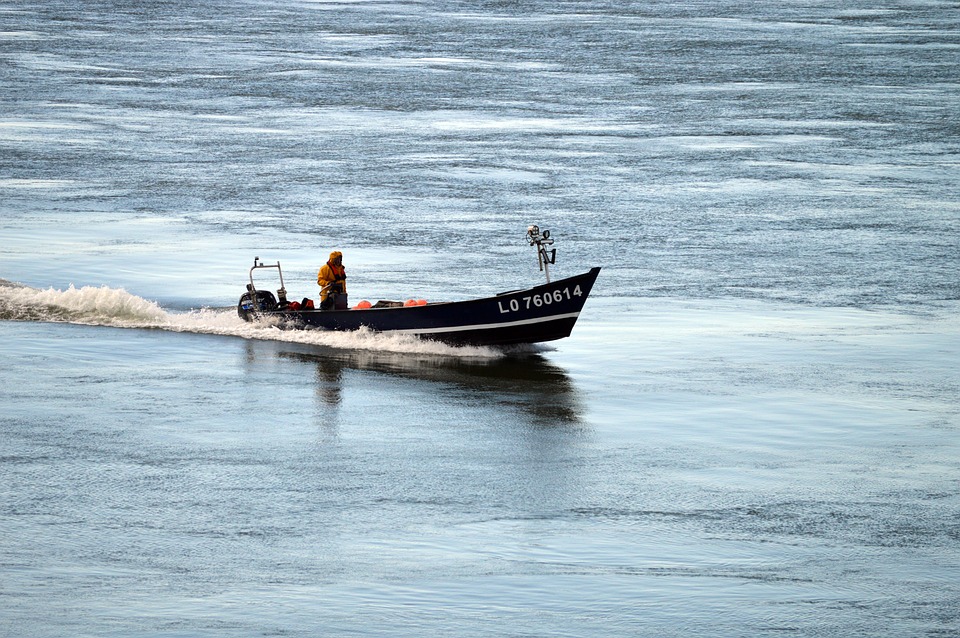 O Dia em que Enfrentei uma Piranha: Relato de um Pescador Corajoso