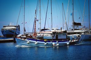 O Dia em que Peguei um Peixe Voador: História de um Pescador Curioso