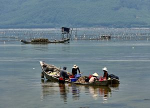 O Que É Pesca Embarcada?