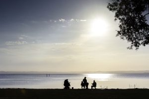 Peixe Piraputanga: Dicas de Pesca e Curiosidades