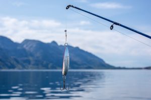 Pesca Econômica: Melhores Locais no Nordeste Brasileiro