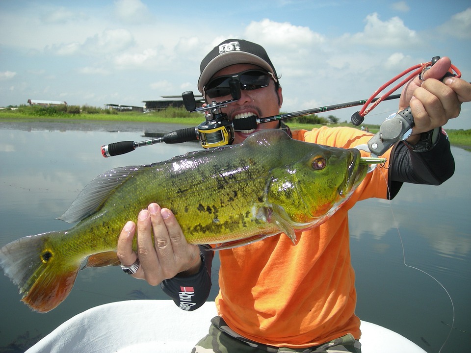 Pesca Esportiva: Como Praticar e Respeitar o Meio Ambiente