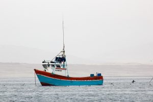 Pesca de Subsistência: O Que É e Como Funciona