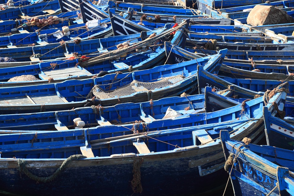 Pesca em Água Doce: Melhores Destinos Econômicos no Brasil