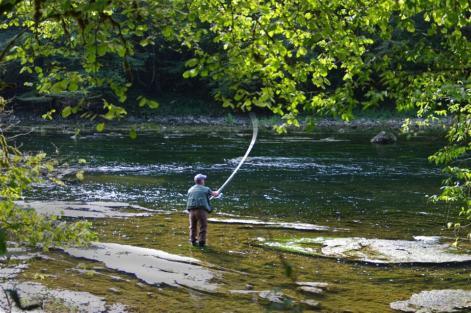 Saiba Mais sobre o Lambari: Técnicas de Pesca e Curiosidades