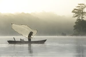 Tudo sobre o Piau: Técnicas de Pesca e Curiosidades