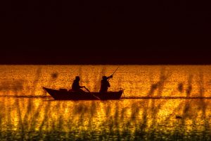 A Captura do Peixe mais Raro: Relato de um Pescador Aventureiro