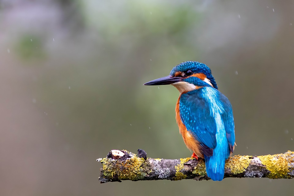 A Pescaria dos Sonhos: Histórias de Pescadores em Destinos Exóticos