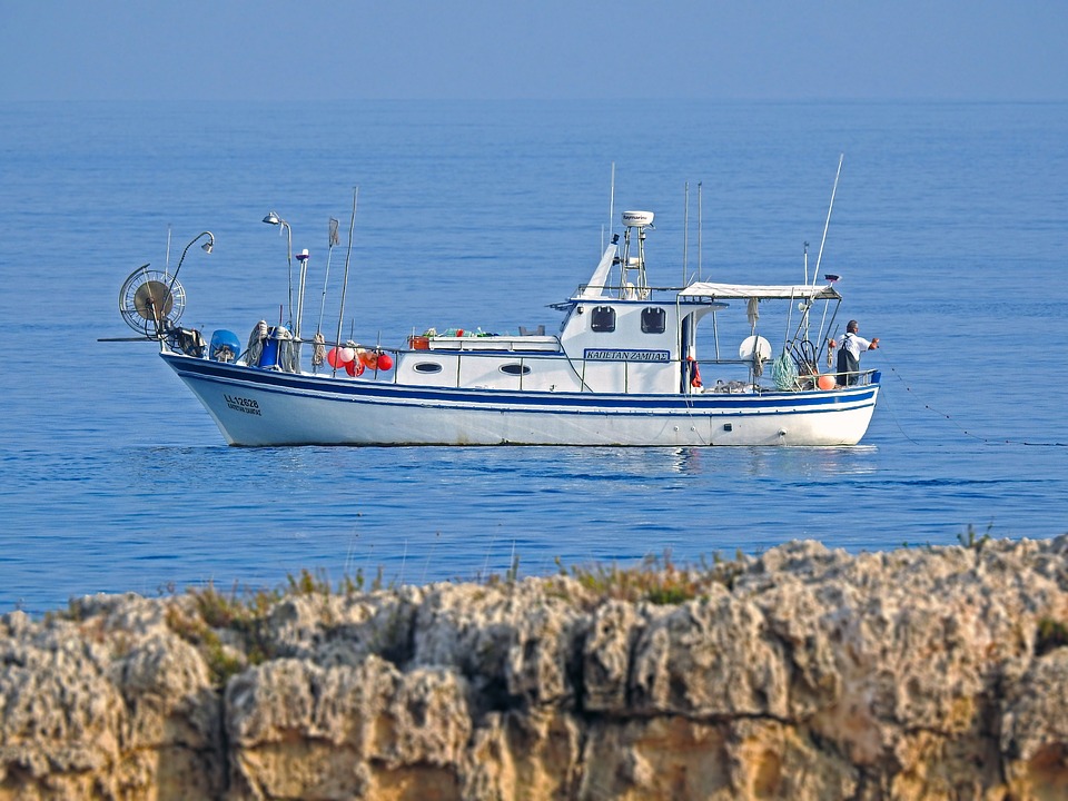 Conheça o Peixe Aruanã: Dicas de Pesca e Habitat