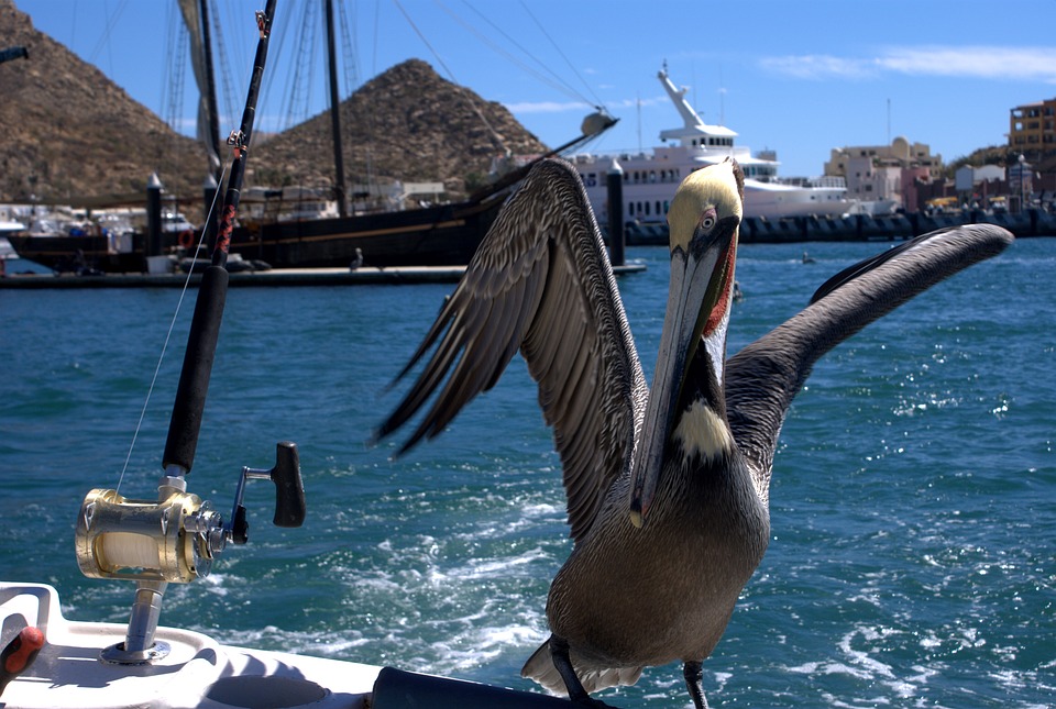 Destinos de Pesca no Piauí: Lugares Baratos e Confortáveis