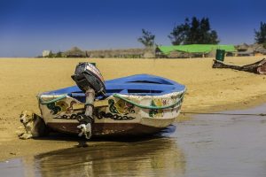 O Dia em que Enfrentei um Peixe Elétrico: História de um Pescador Corajoso