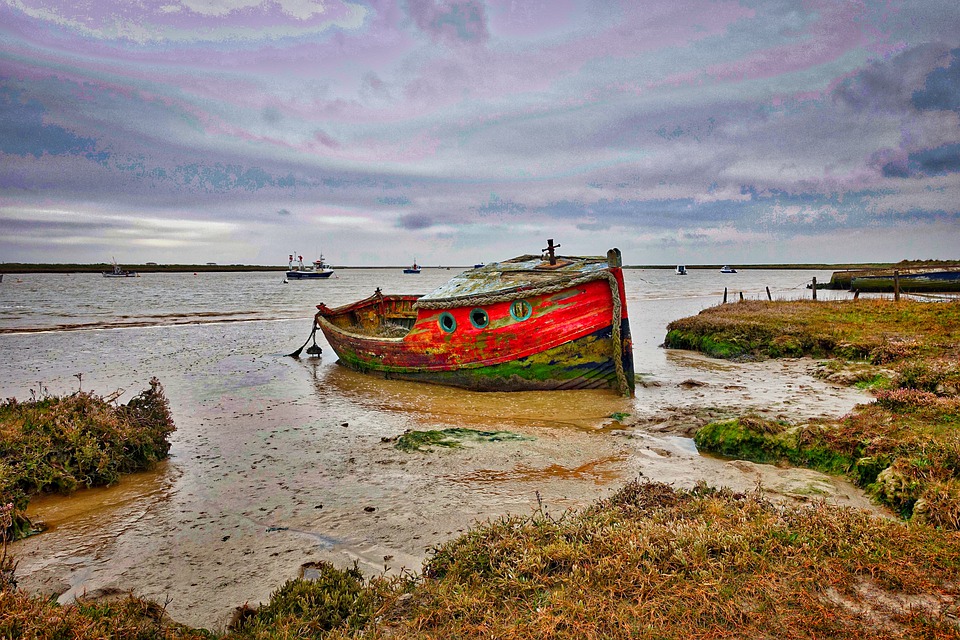 Onde Pescar Sardinha: Guia Completo