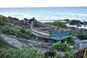 Peixe Olhete: Tudo sobre este Peixe e Como Pescar