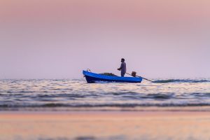 Pesca É Agricultura? Entenda a Diferença