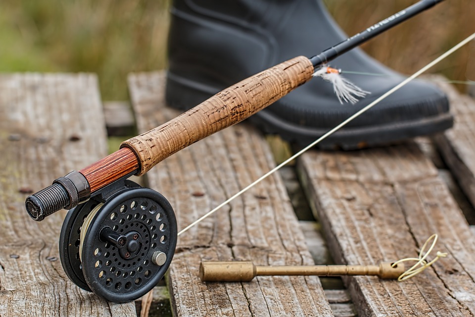 Pesca e Agropecuária: Relações e Diferenças