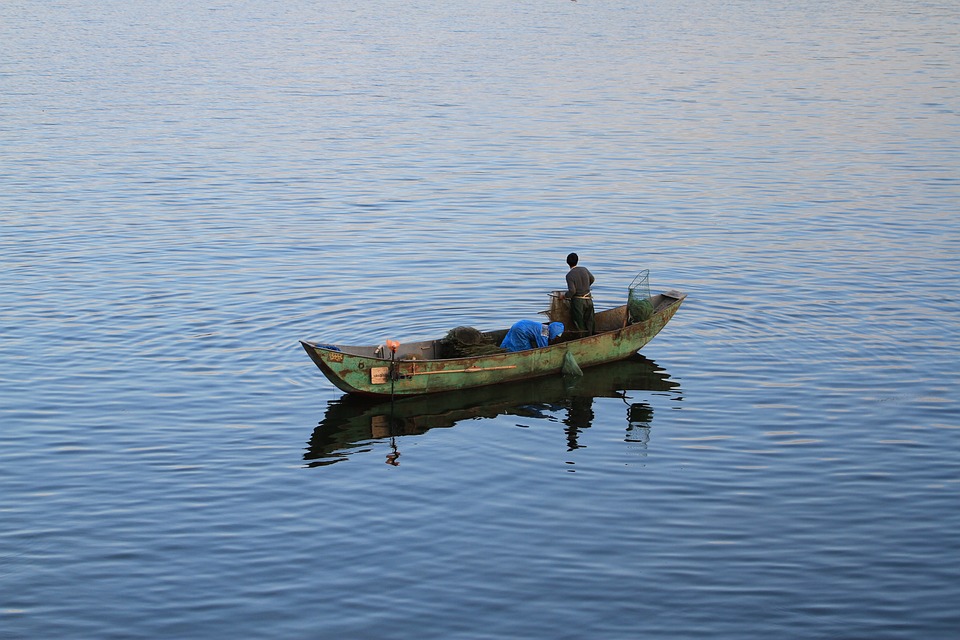 Pesca em Áreas Urbanas: Onde Encontrar Bons Locais