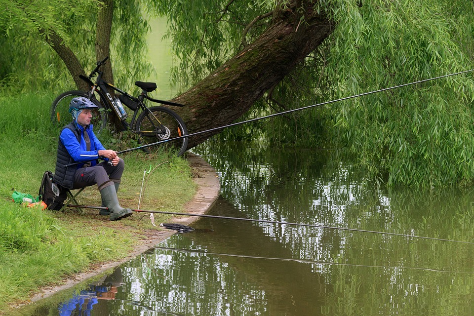 Pesca em Estuários: Dicas e Técnicas