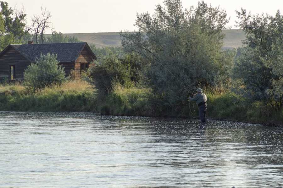 Como Escolher o Melhor Carretel de Pesca para Profissionais