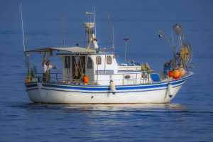 História e Origens da Pesca