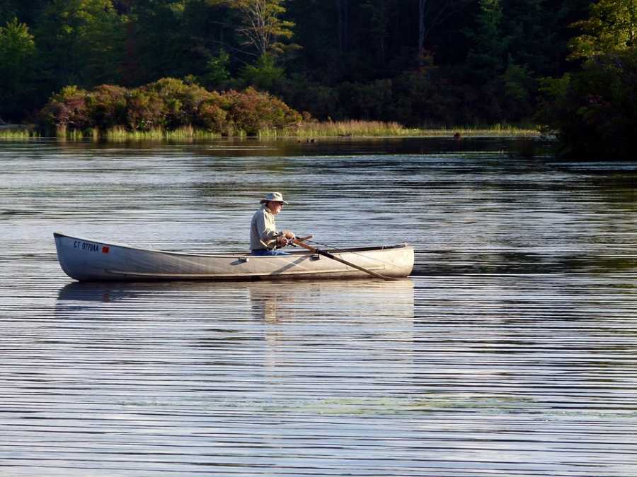 Importância da Pesca Artesanal