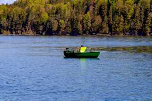 Peixe Merluza: Técnicas de Pesca e Curiosidades