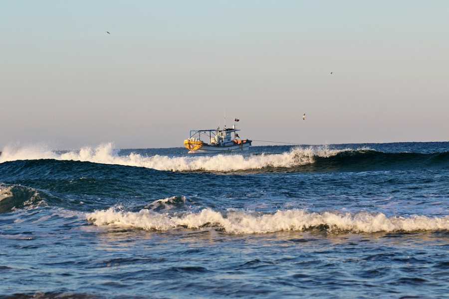 Pesca Predatória: Impactos e Legislação