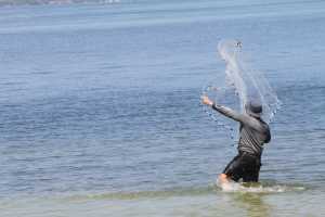 Pesca no Rio Oiapoque: Melhores Locais Econômicos