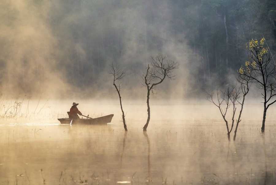 Pesca no Rio Trombetas: Melhores Destinos para Diferentes Bolsos