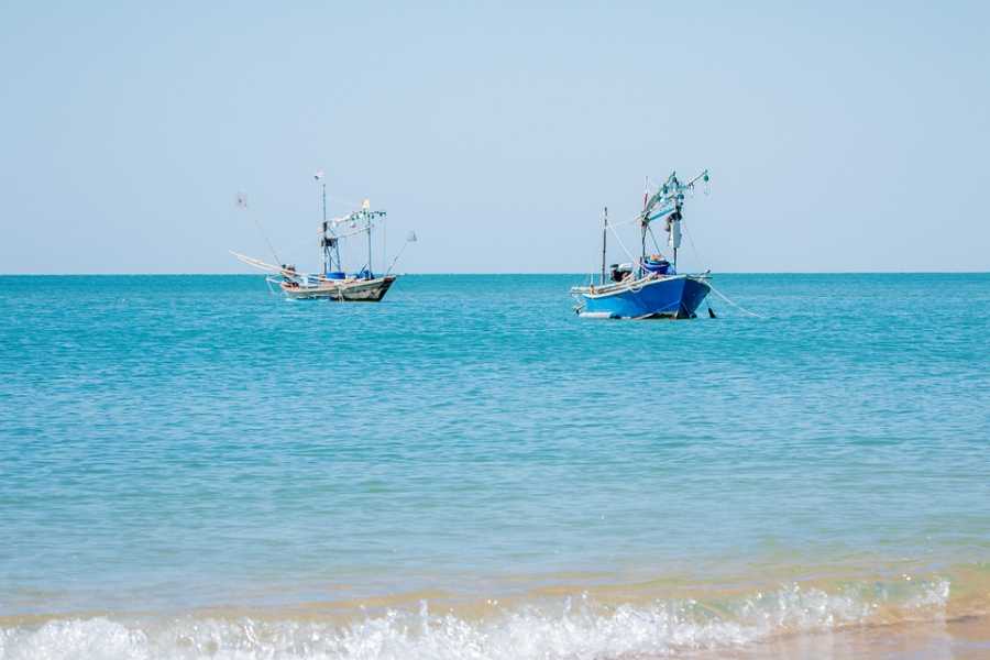 Por Que Não Pescar na Lagoa dos Barros?