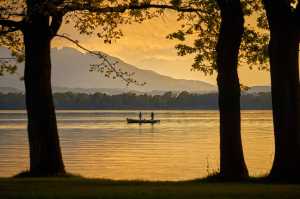 Saiba Mais sobre o Peixe Caranha: Técnicas de Pesca e Habitat