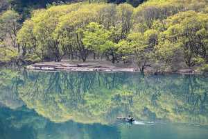 Tudo sobre o Peixe Cação: Dicas de Pesca e Habitat