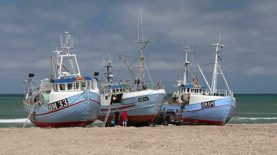 Linha de Pesca: Qual a Mais Resistente?