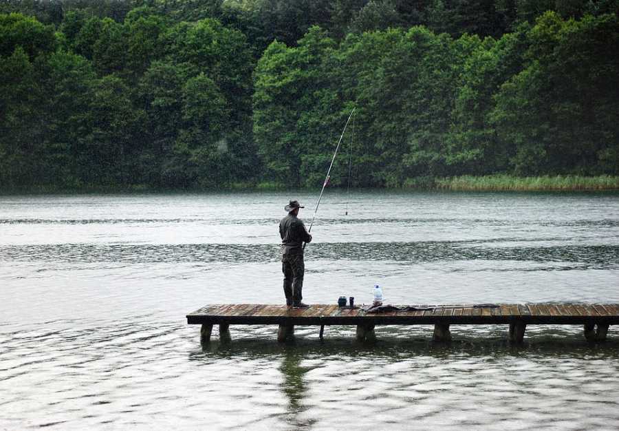 Qual a Pesca Mais Cara do Mundo?