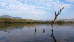 Quando Libera a Pesca em 2024?